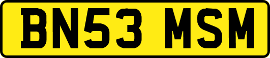 BN53MSM