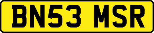BN53MSR