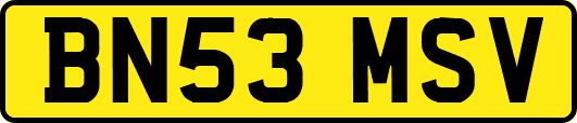 BN53MSV