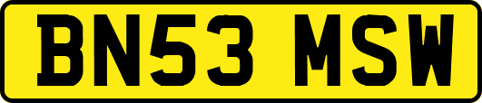 BN53MSW