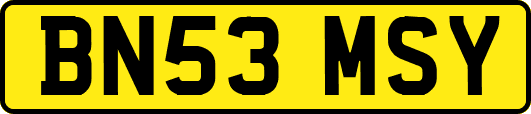 BN53MSY
