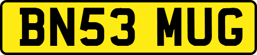 BN53MUG