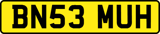 BN53MUH