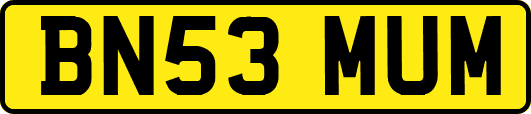 BN53MUM
