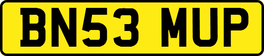 BN53MUP