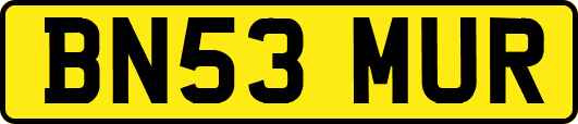 BN53MUR
