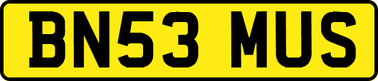 BN53MUS