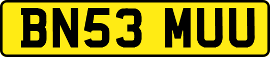 BN53MUU