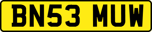 BN53MUW