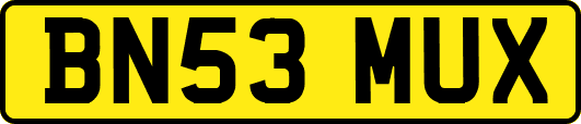 BN53MUX