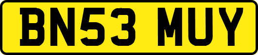 BN53MUY