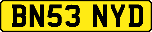 BN53NYD