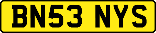 BN53NYS