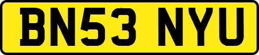 BN53NYU