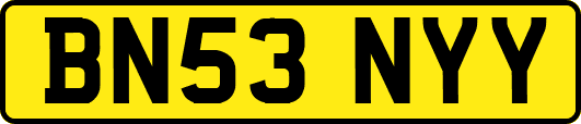 BN53NYY