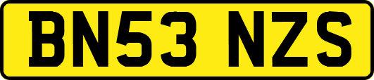 BN53NZS