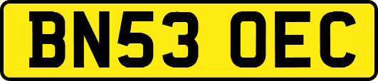 BN53OEC