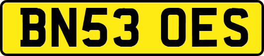 BN53OES