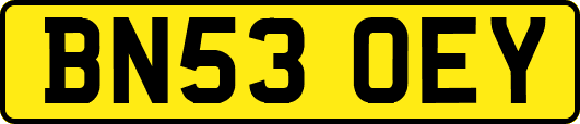 BN53OEY