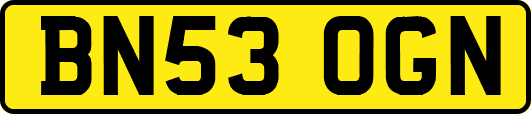BN53OGN