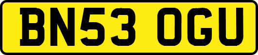 BN53OGU