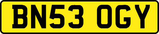 BN53OGY