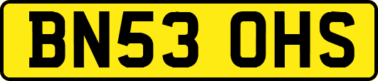 BN53OHS