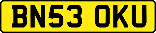 BN53OKU
