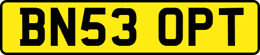 BN53OPT