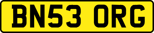 BN53ORG