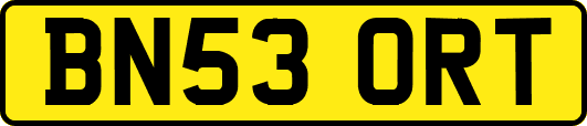 BN53ORT