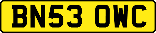 BN53OWC