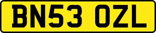 BN53OZL