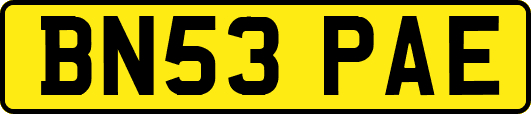BN53PAE