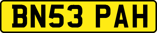BN53PAH
