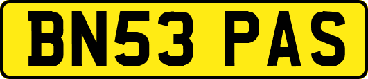 BN53PAS
