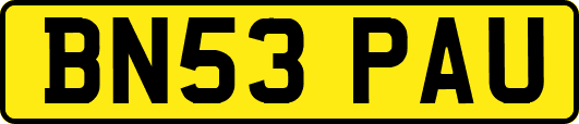 BN53PAU