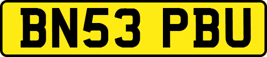 BN53PBU
