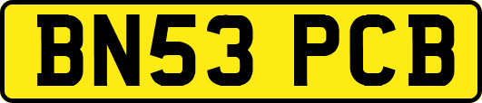 BN53PCB