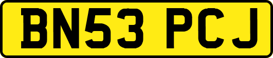 BN53PCJ