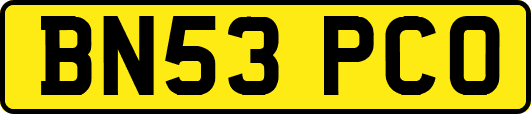 BN53PCO