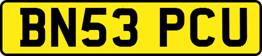 BN53PCU