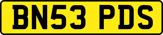 BN53PDS