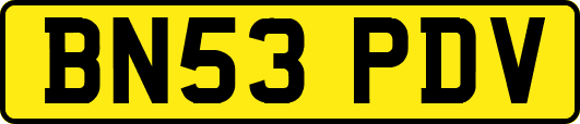 BN53PDV