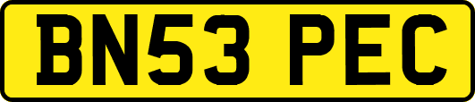 BN53PEC