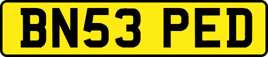 BN53PED