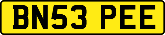 BN53PEE