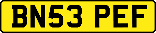 BN53PEF