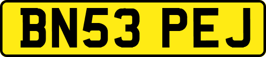 BN53PEJ