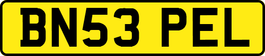 BN53PEL